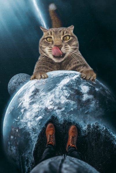 Кот Планета