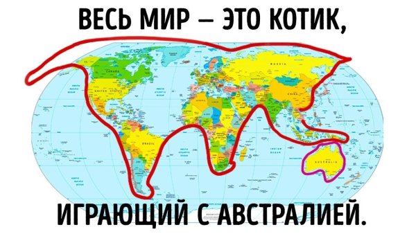 Весь мир это кот играющий в Австралию