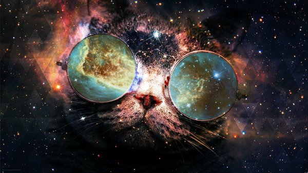 Кот с очками космос