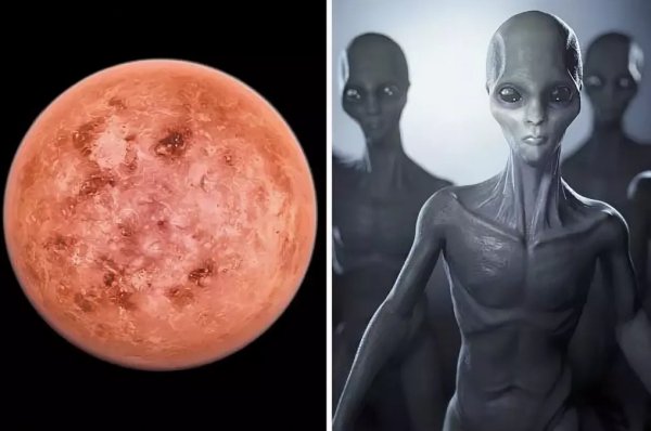 Обитатели Венеры