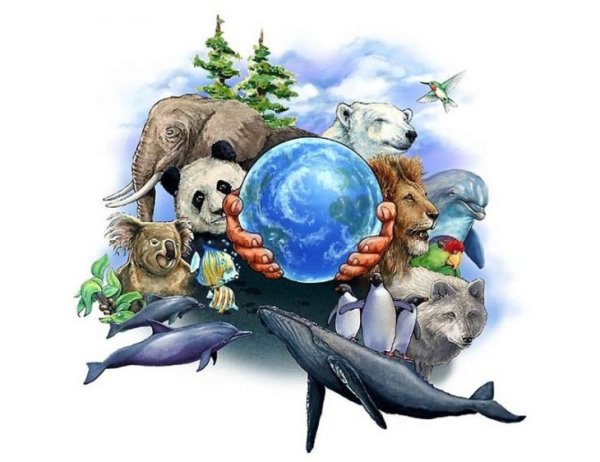 Животные земли