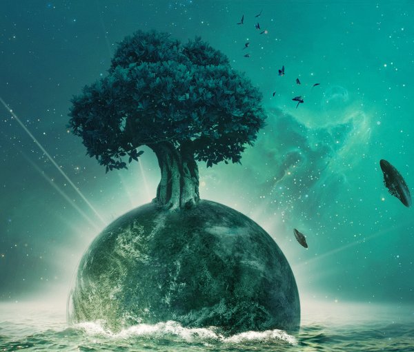 Деревья в плане