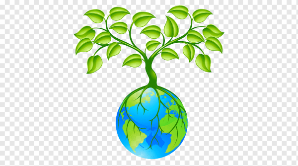 Экологическое дерево