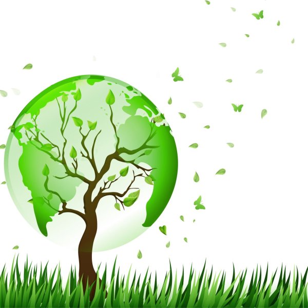 Дерево на земле