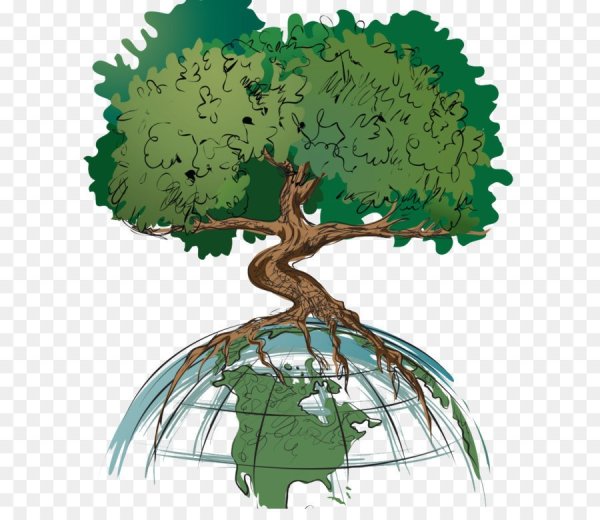 Дерево экология