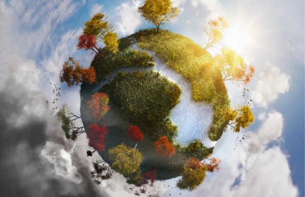 Планета с деревьями