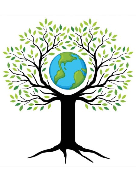 Экология деревьев для детей