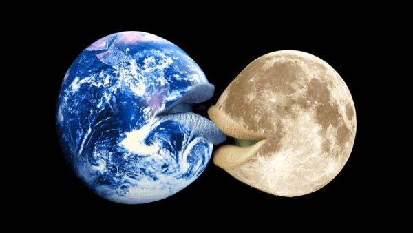 Земля любви