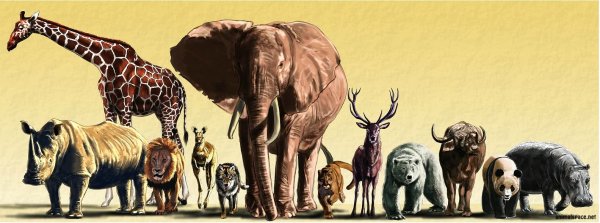 Вымирающие животные много