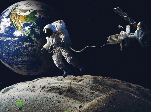 Космонавт на земле