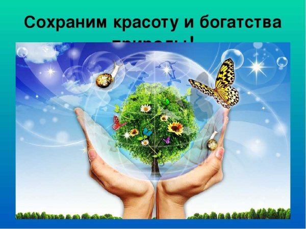 Берегите природу