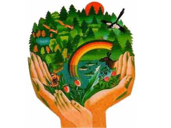 Дети в защиту природы