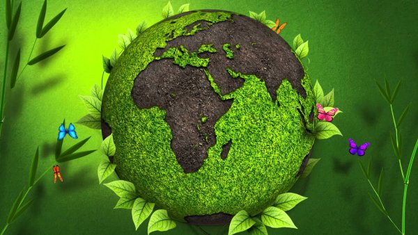 Планета с растительностью