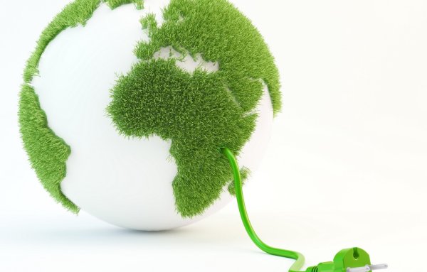 Экология на белом фоне