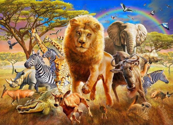 Много животных