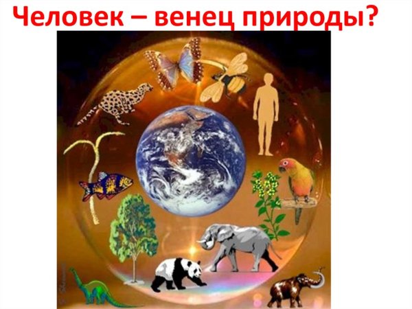 Живые существа нашей планеты