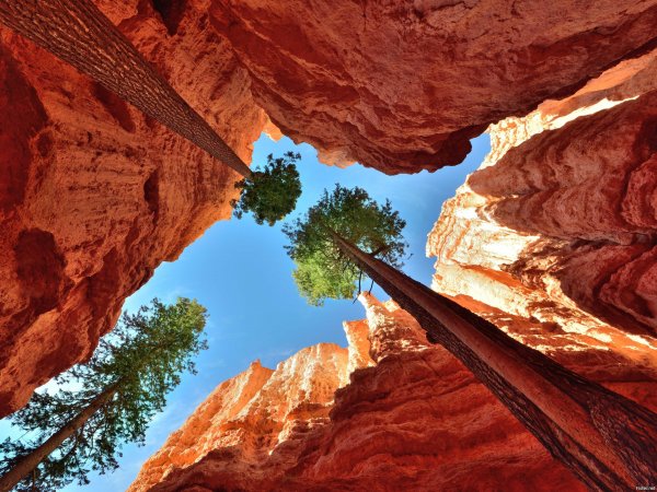 Брайс каньон мост