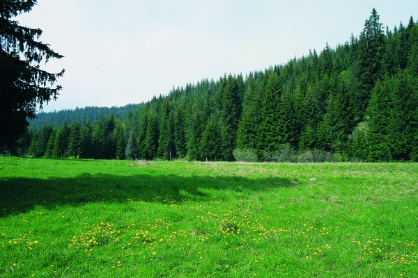 Кар гора Шарканский район