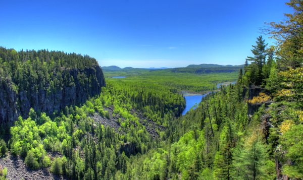Canada Лесные ресурсы