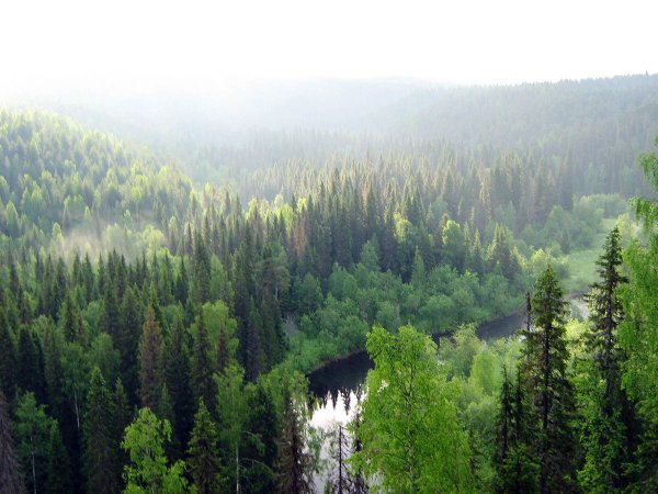 Пинежский заповедник тайги
