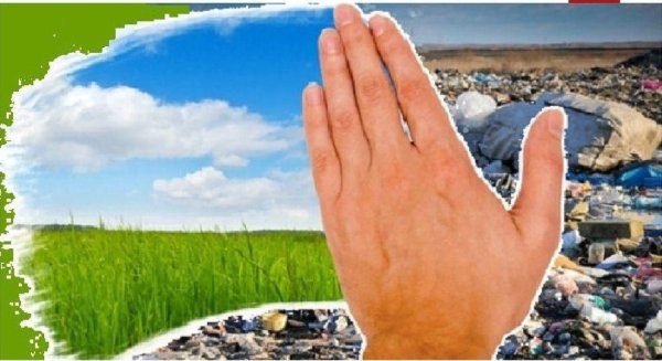 Чистота окружающей среды