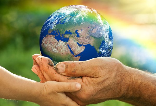 Фотография добра на земле