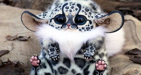 Необычные экзотические животные