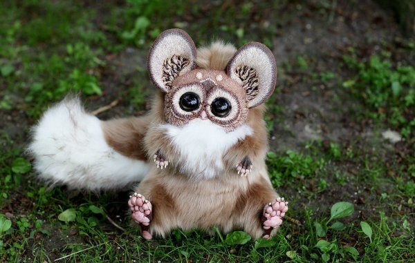 Самое милое животное