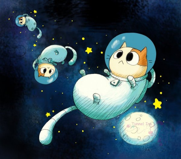 Милые животные в космосе