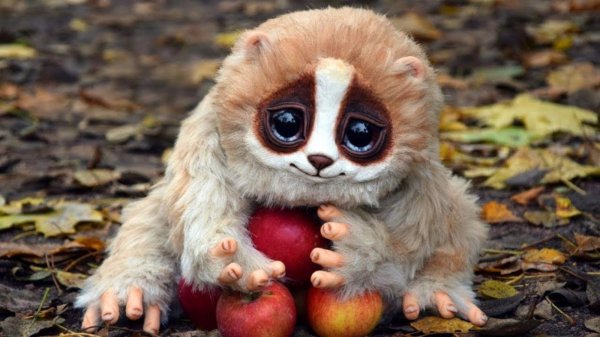 Смешной зверек