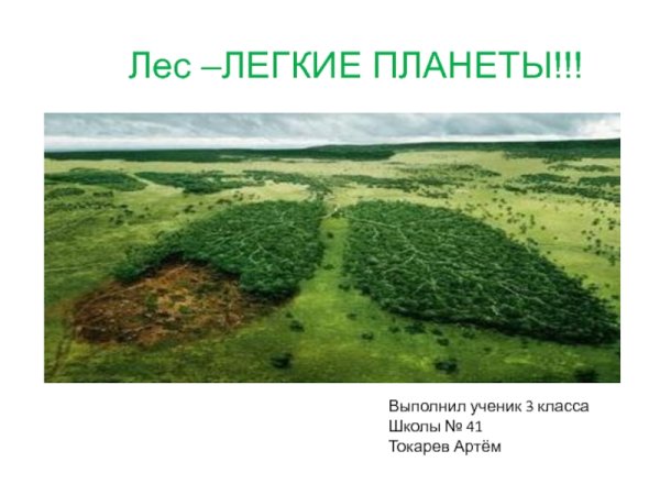 Лес лёгкие нашей планеты