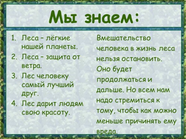 Лес легкие нашей планеты презентация