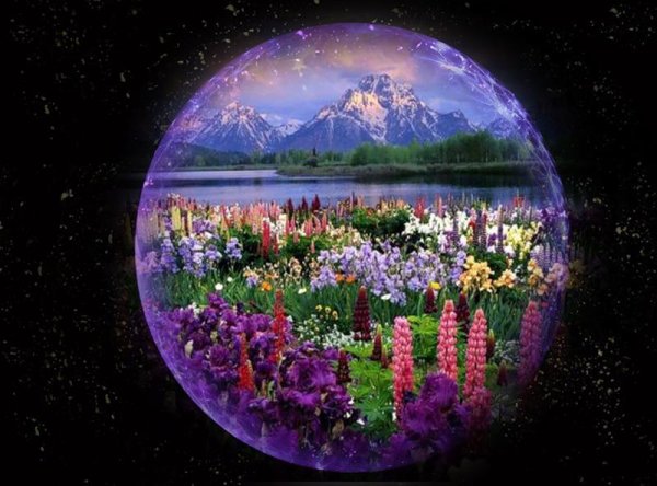 Цветущая земля