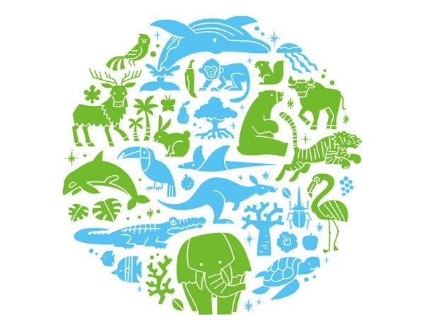 Биологическое разнообразие