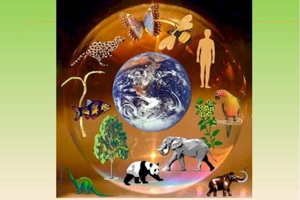 Живые существа нашей планеты