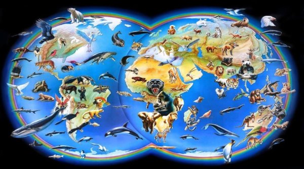 Растения и животные земли