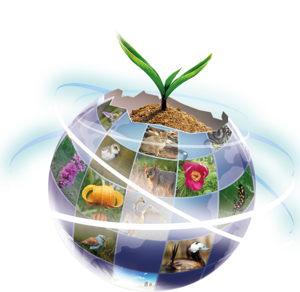 Сохранение биологического разнообразия