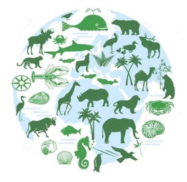 День биологического разнообразия