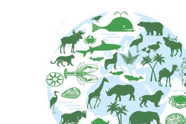 Вымирание биоразнообразия