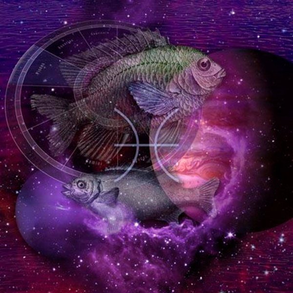 Знаки зодиака "рыбы"