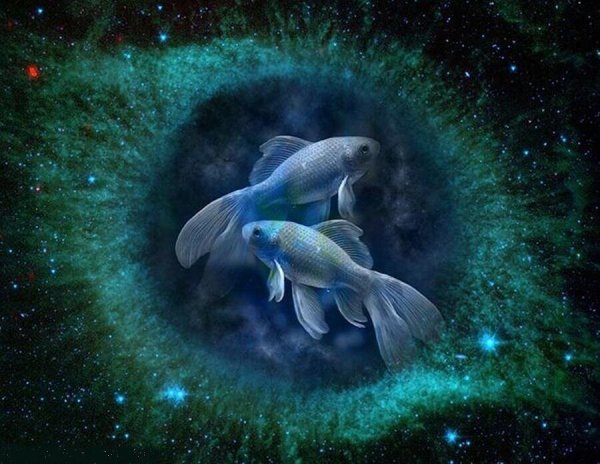 Знаки зодиака "рыбы"