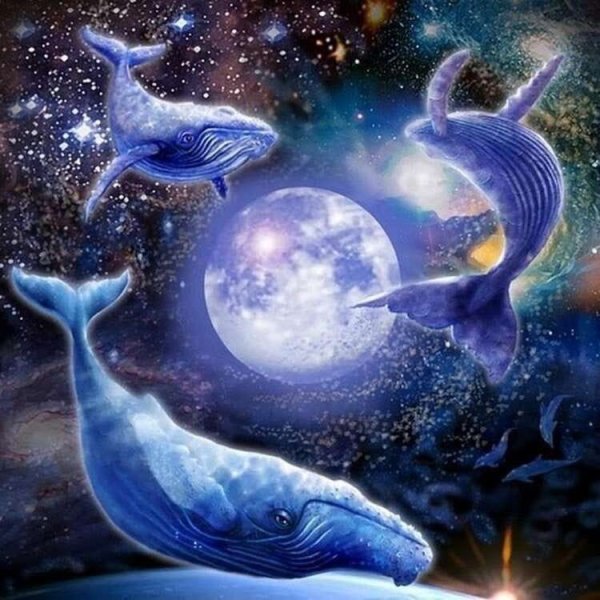 Рыбы в космосе