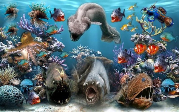 Обитатели морей и океанов