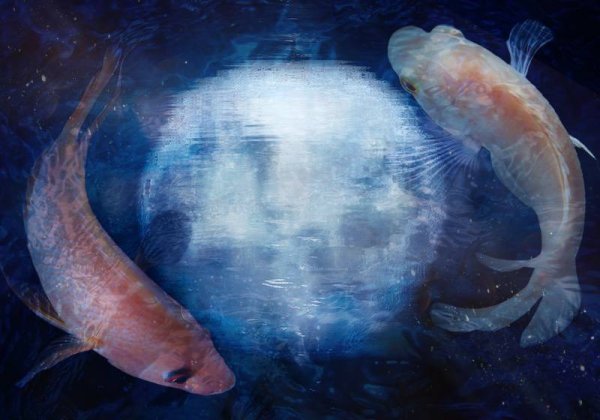 Нептун Планета рыб