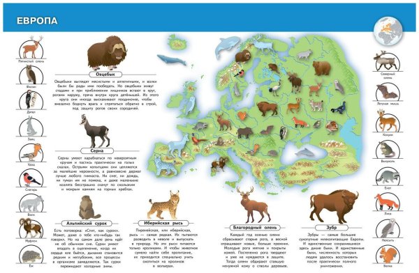 Энциклопедия животные нашей планеты