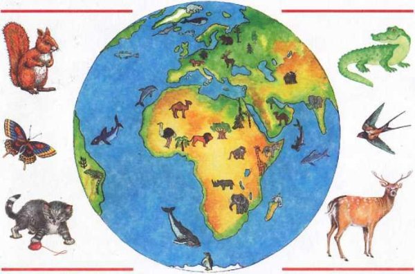 Обитатели земли для детей