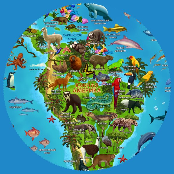 Карта мира "животный и растительный мир земли" Globen Челябинск