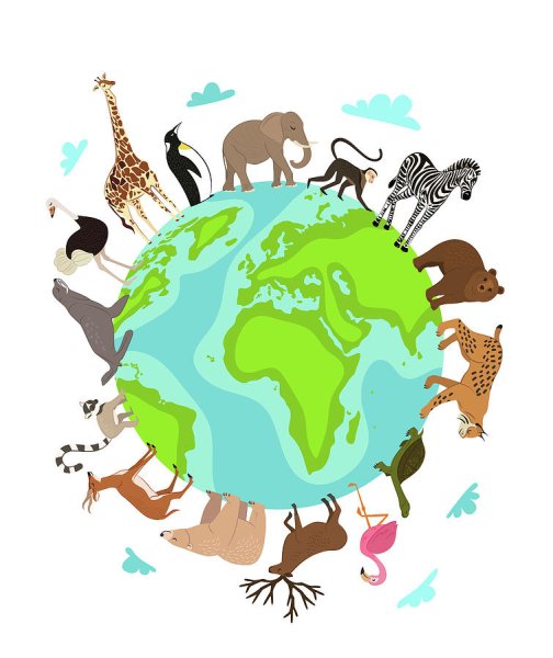 Планета с животными