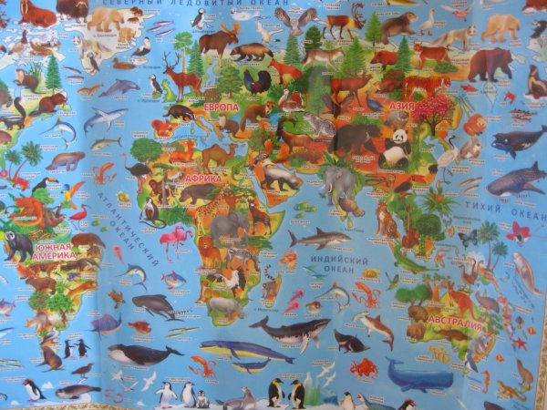 Карта мира атлас животных