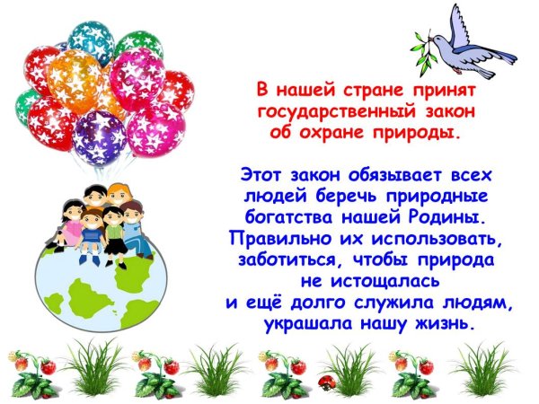 Эко викторина «береги свою планету